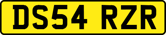 DS54RZR