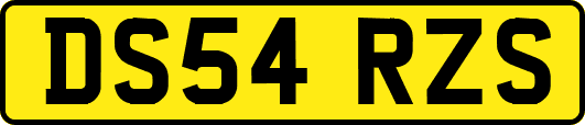 DS54RZS
