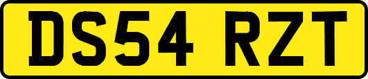 DS54RZT