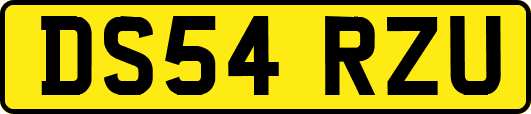 DS54RZU