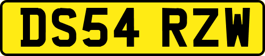 DS54RZW