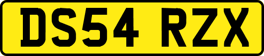 DS54RZX