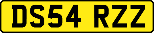 DS54RZZ
