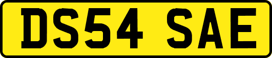 DS54SAE