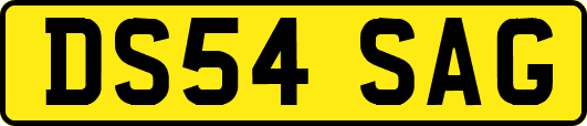 DS54SAG