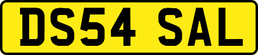 DS54SAL