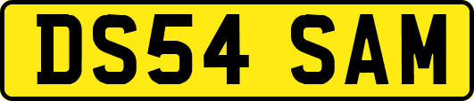 DS54SAM