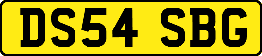 DS54SBG