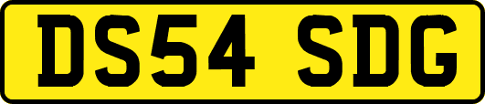 DS54SDG