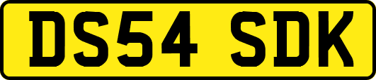 DS54SDK