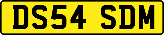 DS54SDM