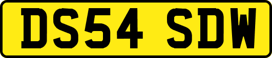DS54SDW