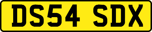 DS54SDX