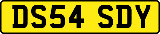 DS54SDY