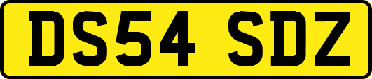 DS54SDZ