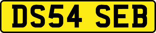 DS54SEB