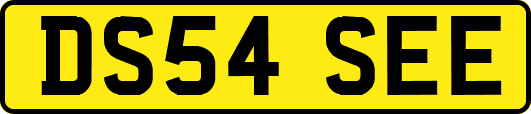 DS54SEE