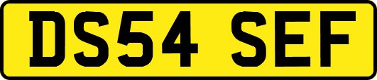 DS54SEF