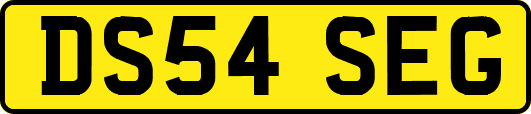 DS54SEG