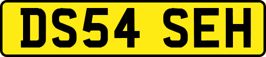 DS54SEH
