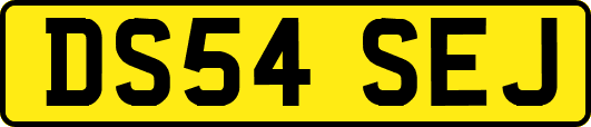 DS54SEJ