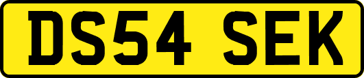 DS54SEK