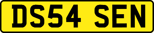 DS54SEN