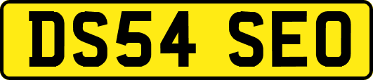 DS54SEO