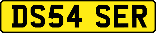DS54SER