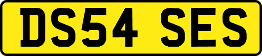 DS54SES