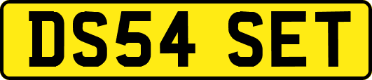 DS54SET