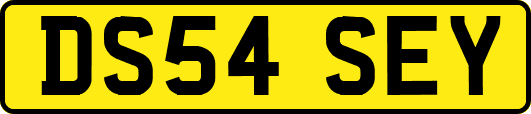 DS54SEY