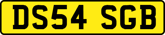 DS54SGB