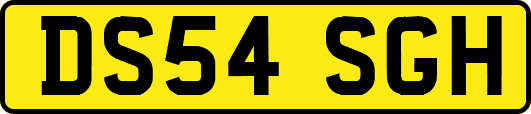 DS54SGH