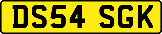 DS54SGK