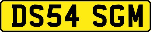 DS54SGM