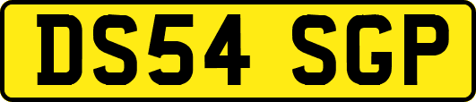 DS54SGP