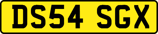DS54SGX