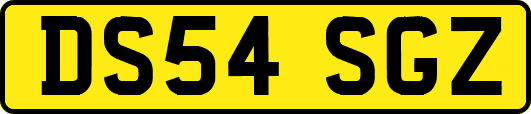 DS54SGZ