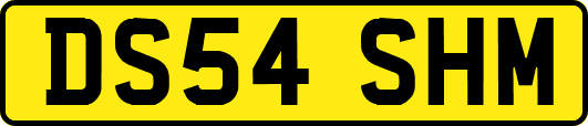 DS54SHM