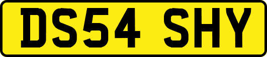 DS54SHY