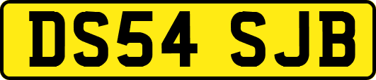 DS54SJB