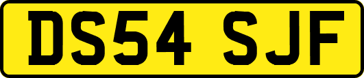 DS54SJF