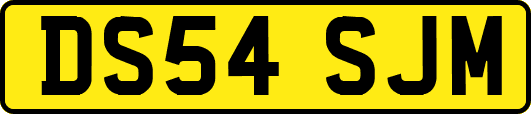 DS54SJM