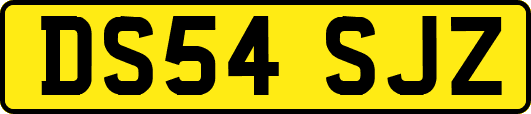 DS54SJZ