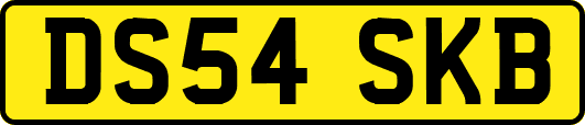 DS54SKB