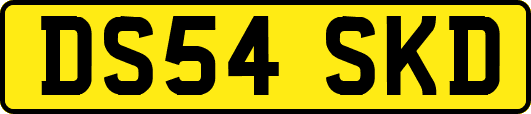 DS54SKD
