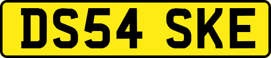 DS54SKE