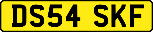 DS54SKF