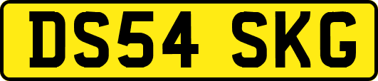 DS54SKG